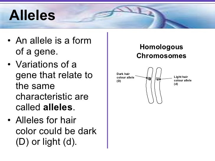 genetics notes class 12 genetics notes answers